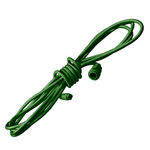 25 ft. Coupling Extension Cord - For 24V Commercial LED System Strings - Green Wire - 1-Channel